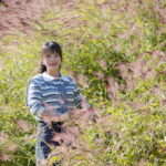 Ngất ngây trước mùa Cỏ hồng rợp sắc tại cung đường bản Nà Khum