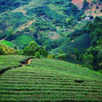 Những điểm đến ở Văn Chấn Yên Bái đẹp tựa nàng thơ