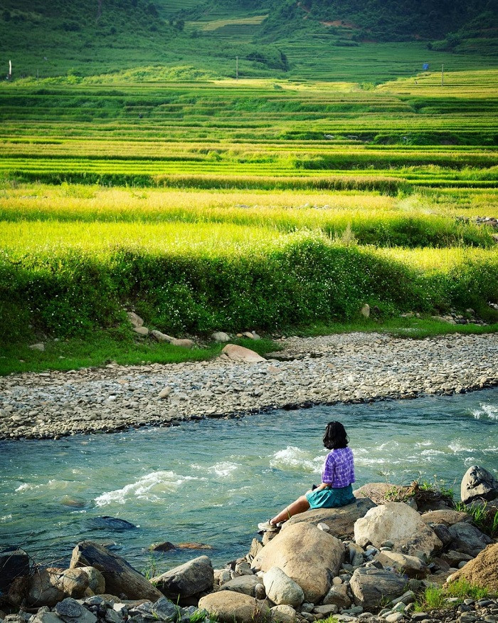 alt text: Cảnh sắc Tú Lệ