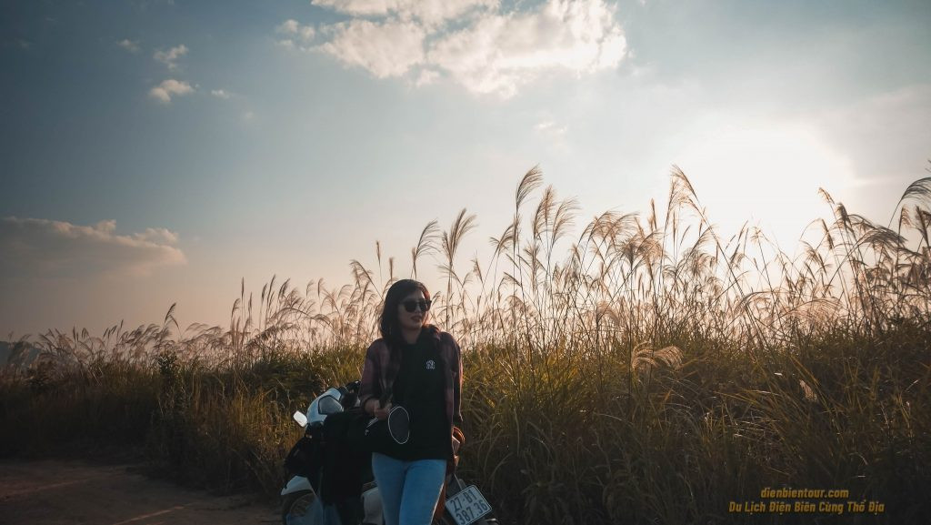 Bầu không khí thư thái tại đồi cỏ lau Điện Biên