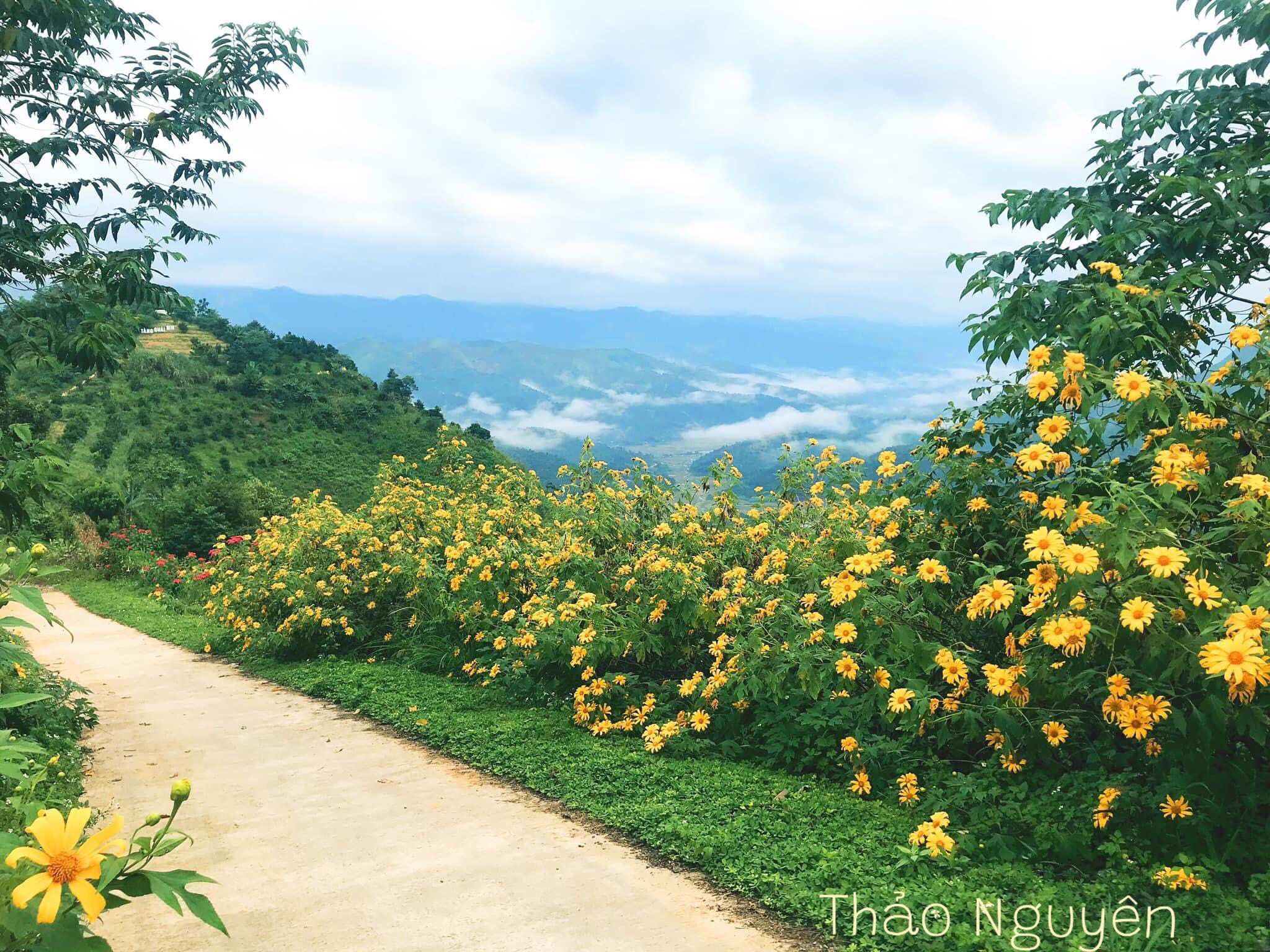Biển mây trên đường Điện Biên Phủ - Mường Ảng