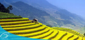 Sapa mùa nào đẹp nhất? Nên đi Sapa vào tháng mấy?