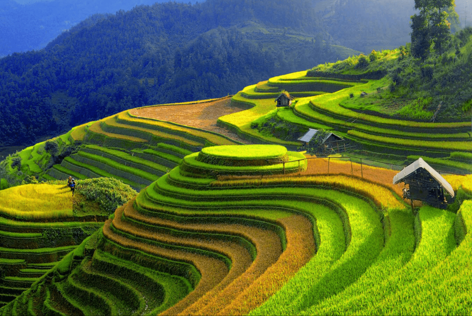 Cảnh quan núi non Yên Bái