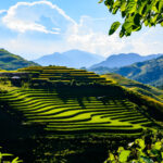 Tủa Chùa  là điểm đến hấp dẫn mùa thu