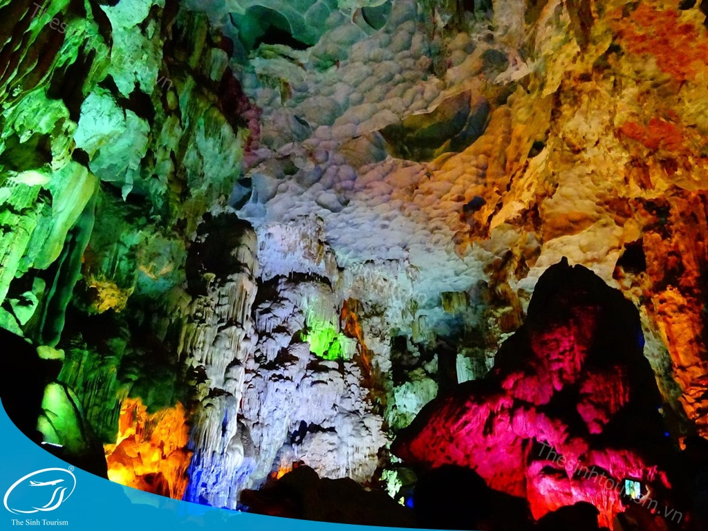 Đồi chè Mộc Châu