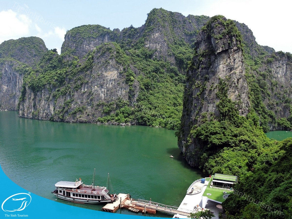 Đồi chè Mộc Châu