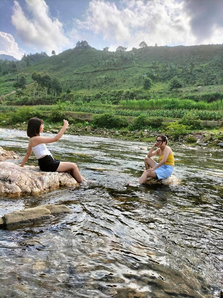 Du khách check in cây lá đỏ