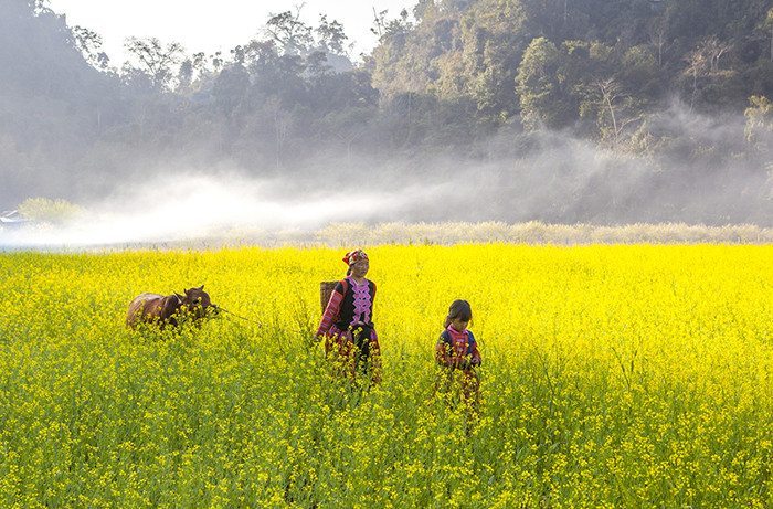 Đường về. Ảnh: Minh Phóng