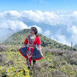 Hoa chi pâu – loài hoa lạ ở Yên Bái không phải ai cũng biết.