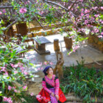 Sơn La – Trải nghiệm bốn mùa trọn vẹn