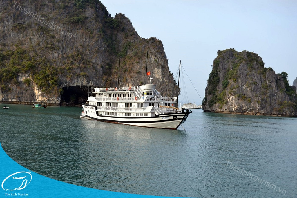 Hoa tam giác mạch Hà Giang