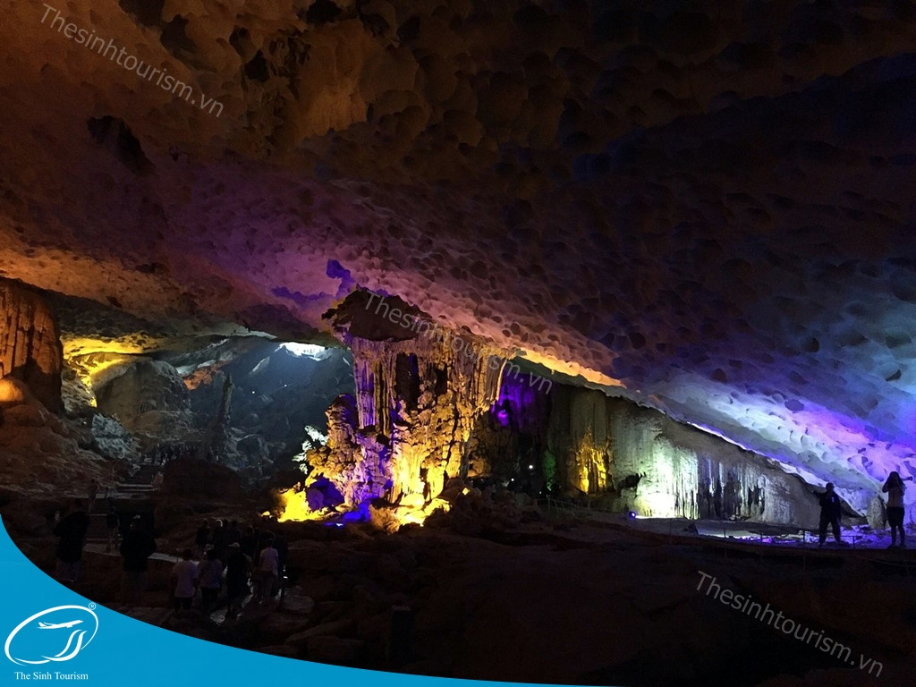 Hoa tam giác mạch Hà Giang