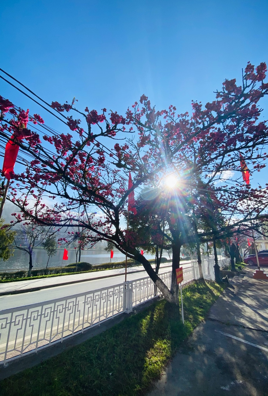 Hoàng hôn bên hồ Sapa