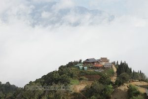 Homestay Tà Xùa Hill – điểm nghỉ chân hấp dẫn du khách.