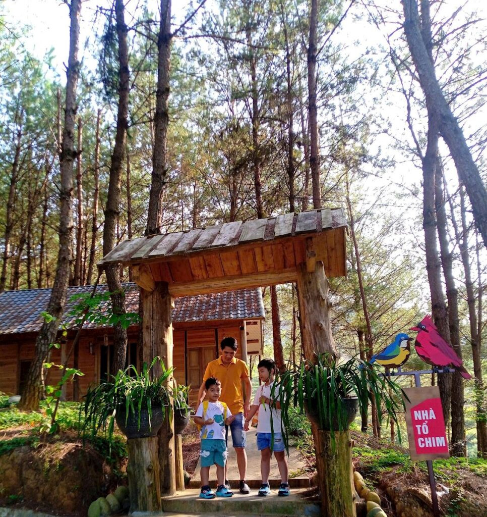 Khu vực homestay Tổ Chim độc đáo