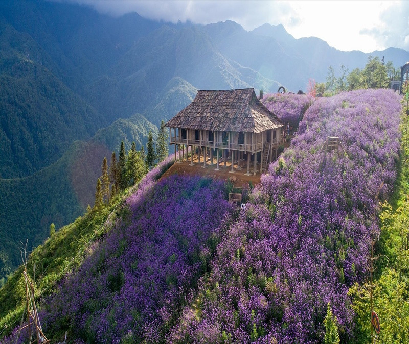 Khung cảnh thung lũng hoa Bắc Hà