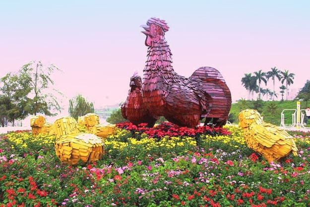 Màu sắc rực rỡ của các loài hoa