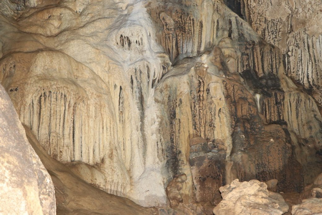 nhu 4 sdcc8vug2elyf 3g