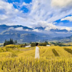 Mùa thu Sa Pa – Vẻ đẹp nàng thơ xứ sở sương mù