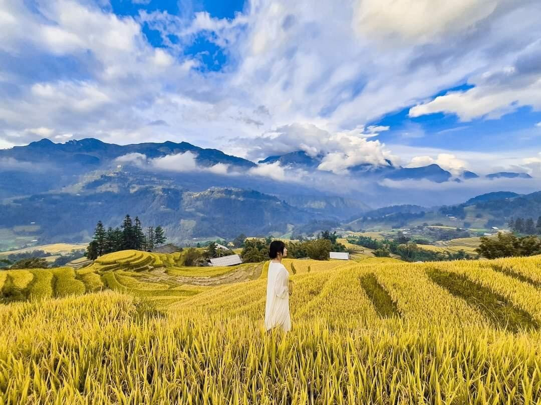 Ruộng bậc thang Sa Pa