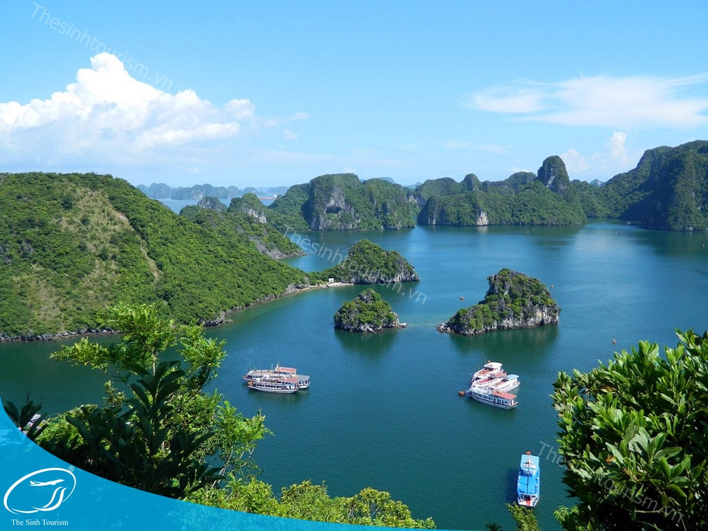 Ruộng bậc thang Sapa