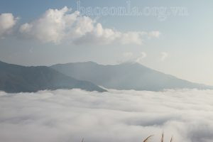 Trải nghiệm du lịch Tà Xùa