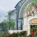 Thung lũng hoa hồng Sapa: Khu vườn cổ tích ngoài đời thực