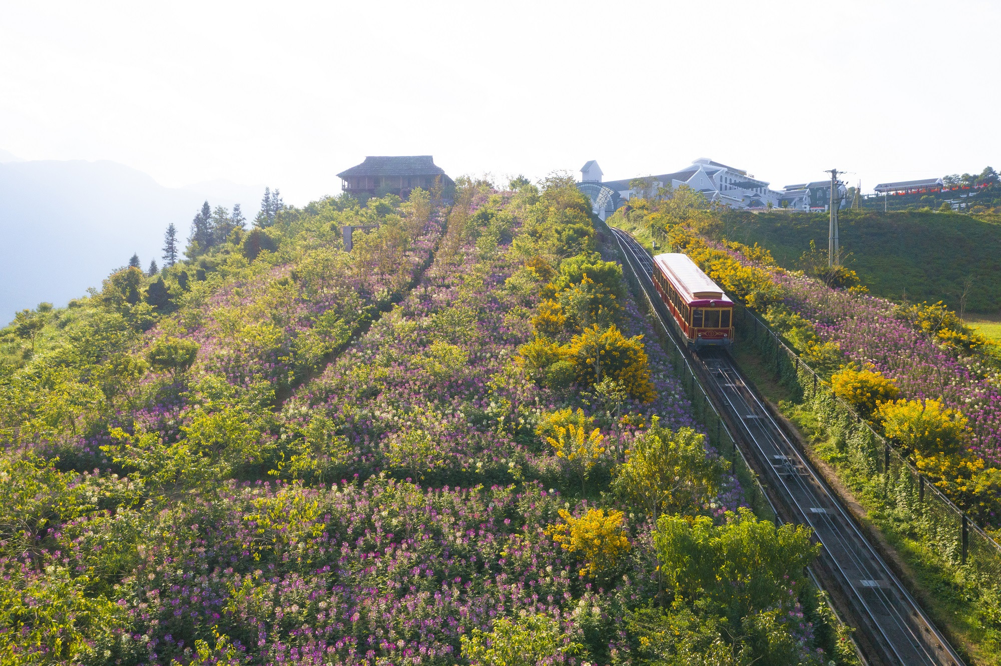 Thung lũng Mường Hoa nhìn từ tàu hỏa leo núi