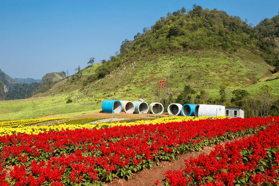 Vườn Hoa Nhiệt Đới