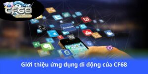 Pha Đin – món quà vô giá thiên nhiên ban tặng cho Tây Bắc