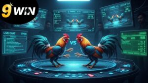 Pha Đin – món quà vô giá thiên nhiên ban tặng cho Tây Bắc